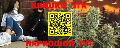 СК Краснознаменск