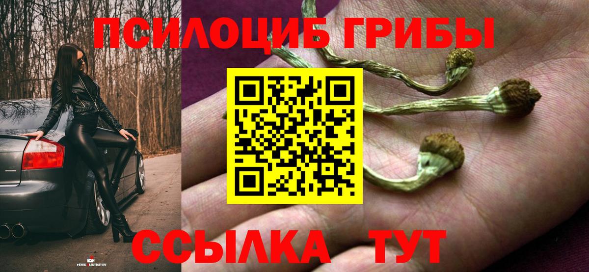 Галлюциногенные грибы прущие грибы  Вход с VPN  Кандалакша 